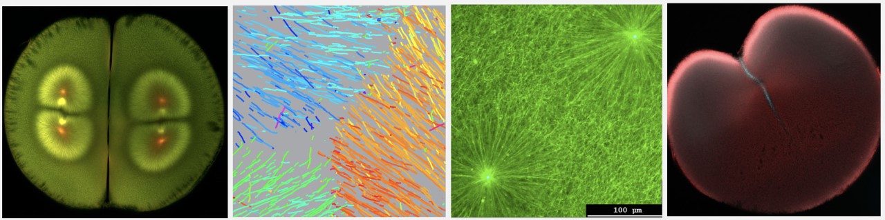 science images